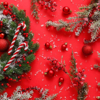 Auguri di Buone Feste da RP Valverde Giustenice